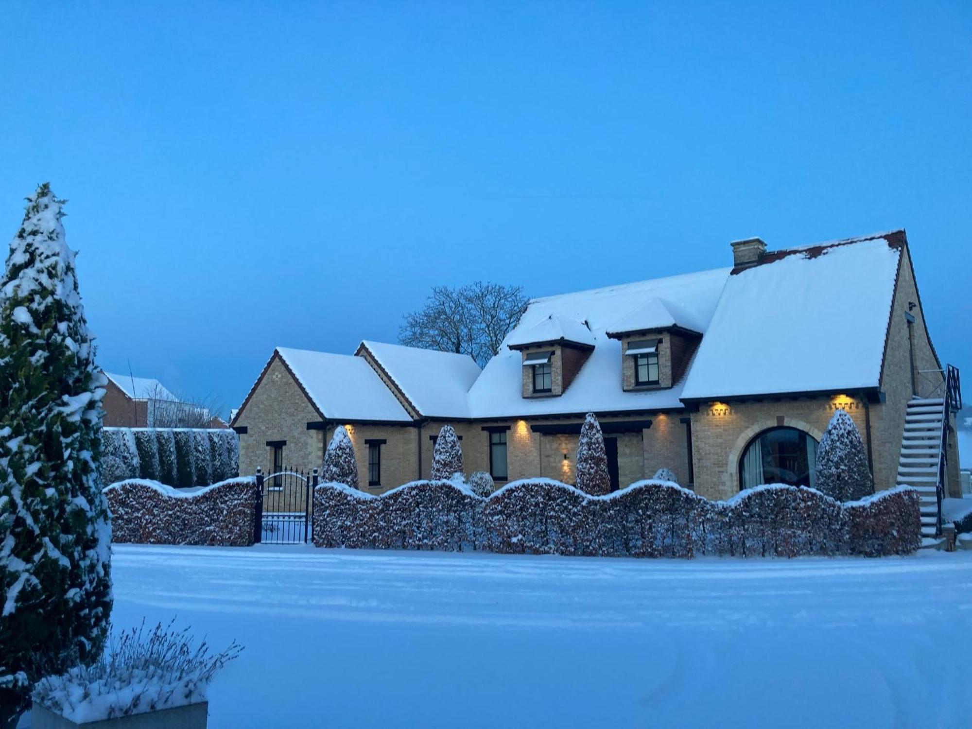 B&B Bertem Natuur エクステリア 写真